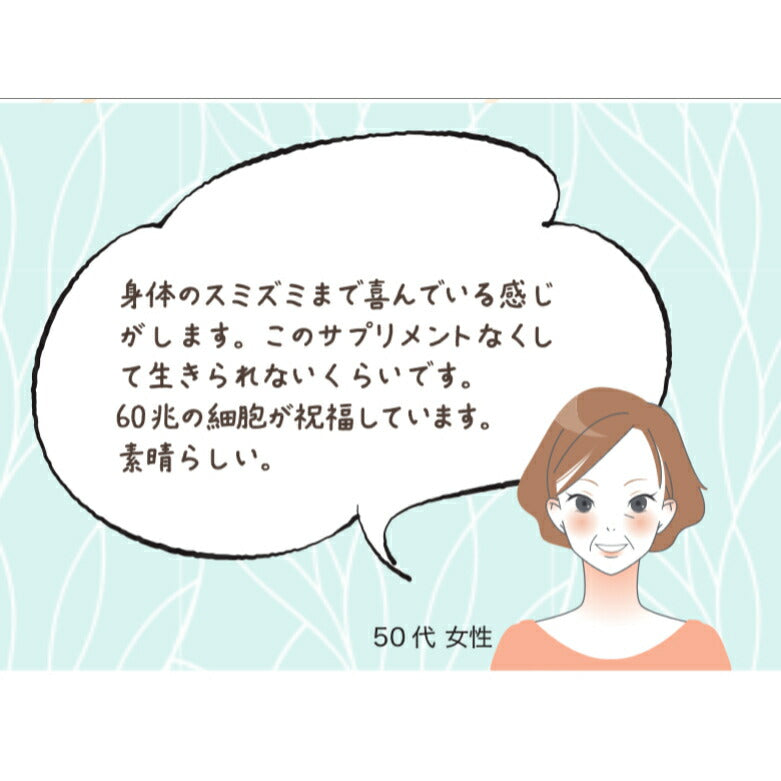 ファスティングチャージ・アミノマキア【30包】