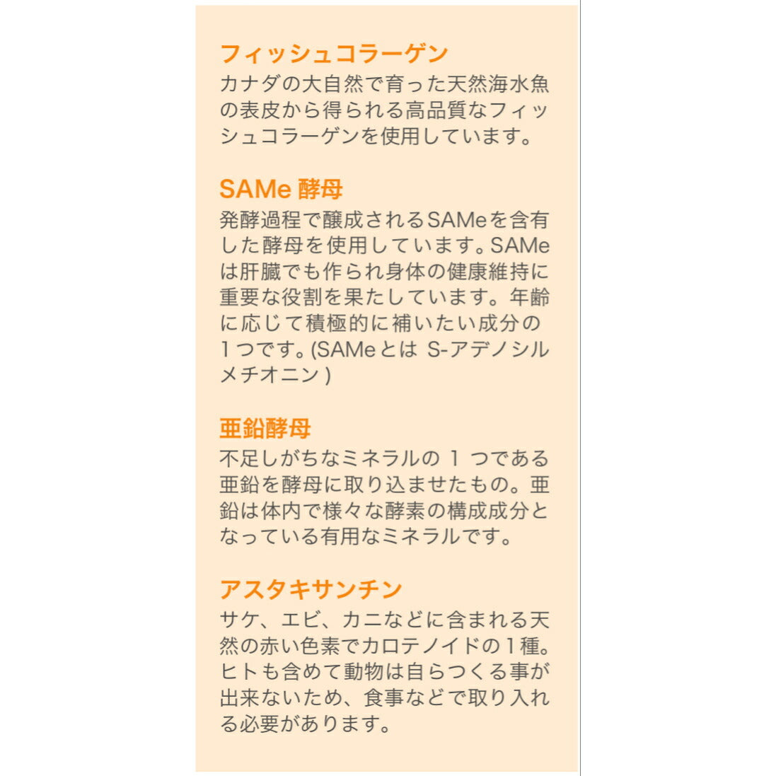 ファスティングチャージ・アミノマキア【30包】