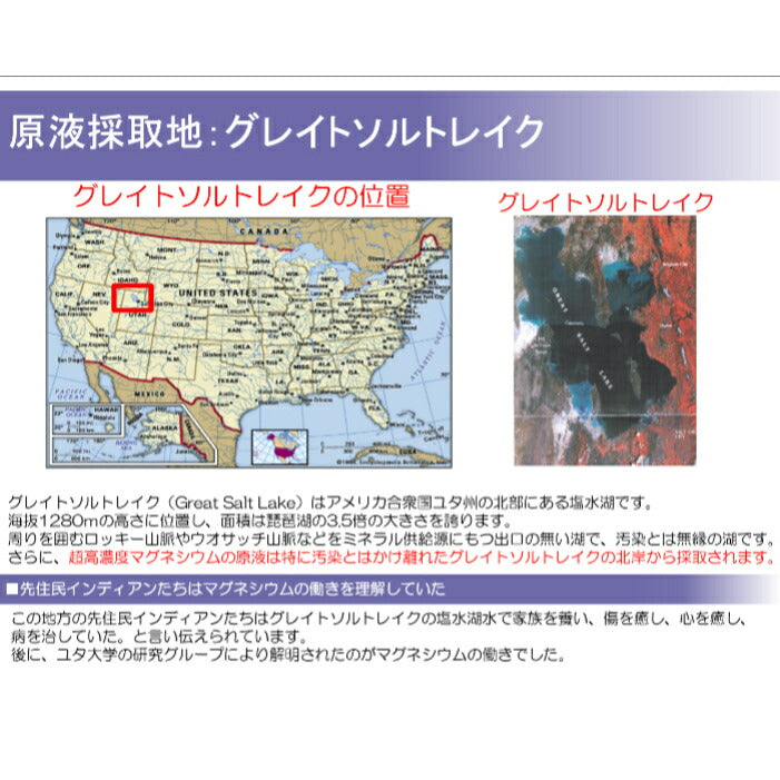 グレートマグネシウム50ml ファスティングライフ 株式会社