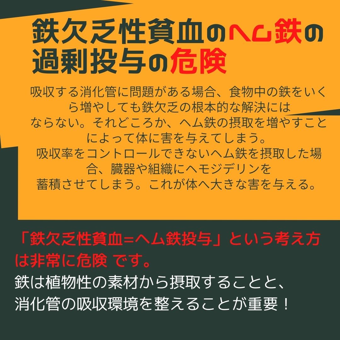 ２個セット■ヘンプ プロテイン■【ポイント２倍・送料無料】ニューサイエンス社 454g【美味しい飲み方の解説書付】