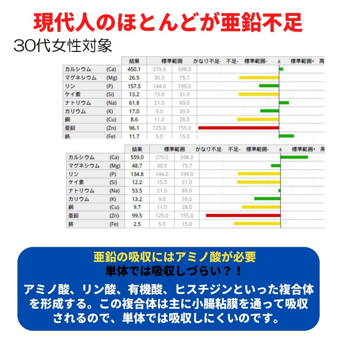 ２個セット■ヘンプ プロテイン■【ポイント２倍・送料無料】ニューサイエンス社 454g【美味しい飲み方の解説書付】