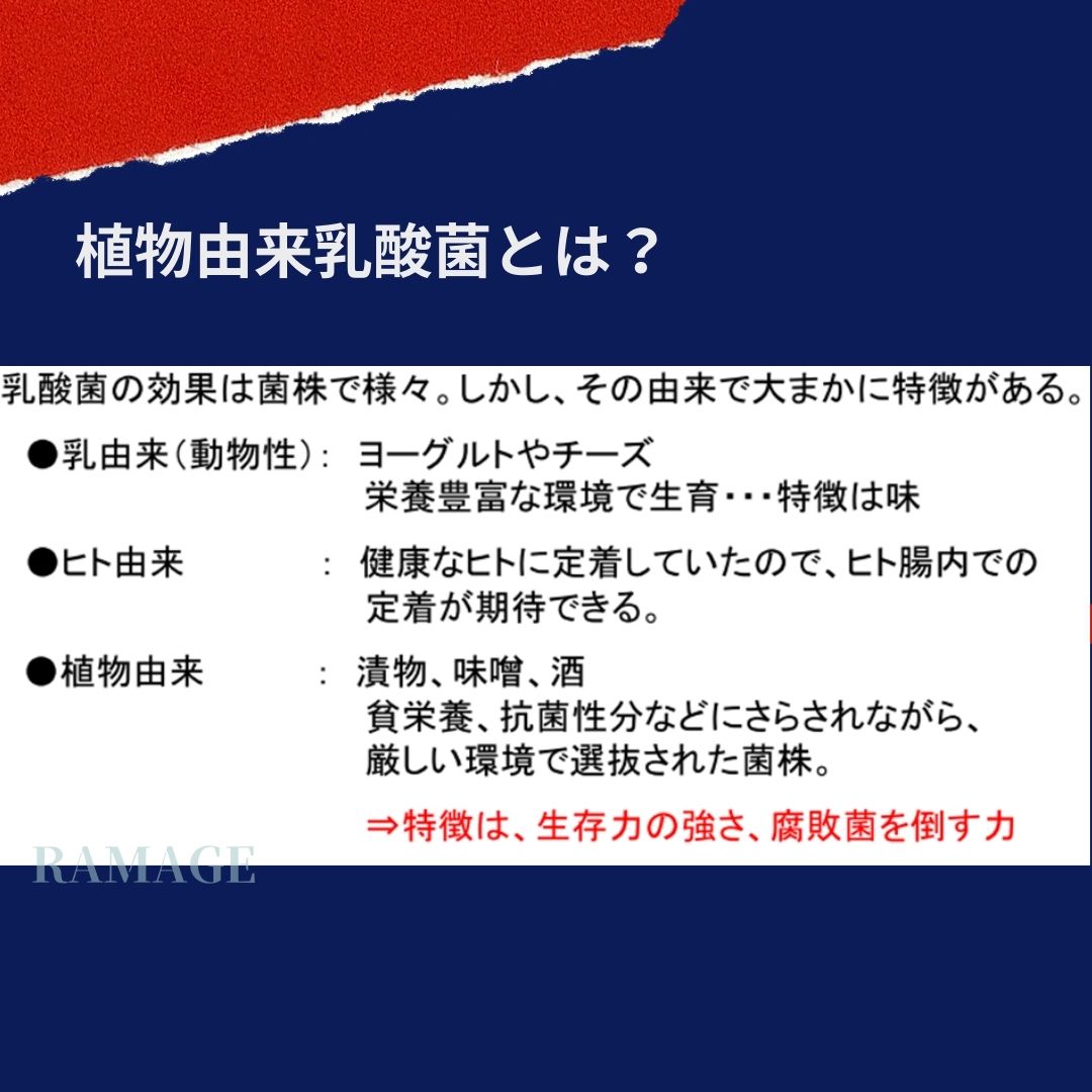 マルチバイオティクス,乳酸菌配合食品 ポイント2倍 ニューサイエンス 乳酸菌