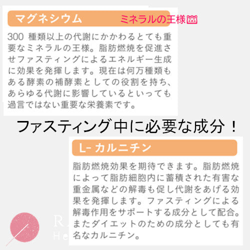 ５本セット【マナ酵素】【12月度 月間優良ショップ受賞】/100%原液/ファスティングドリンク植物性乳酸菌マナ酵素 MANA酵素 500mL