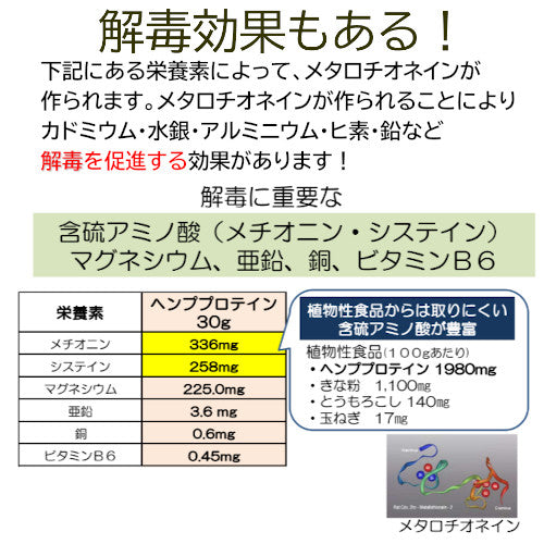 ２個セット■ヘンプ プロテイン■【ポイント２倍・送料無料】ニューサイエンス社 454g【美味しい飲み方の解説書付】