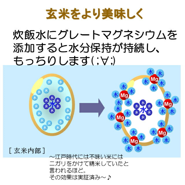 超高濃度マグネシウム（グレートマグネシウム）【3本】グレートマグネシウム【2本】【送料無料】超高濃度マグネシウム 超高濃度マグネシウム 液体 マグネシウム お酒を飲む方 疲れやすい方  元気に過ごしたい方 ミネラルの王様! マグネシウムを吸収率の良い液体現役で摂ろう