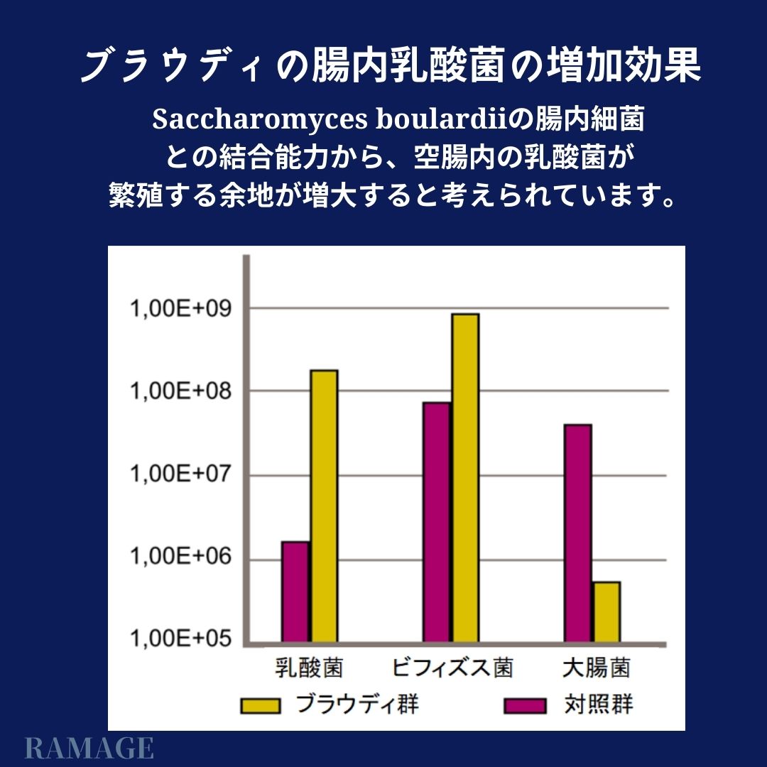 マルチバイオティクス,乳酸菌配合食品 ポイント2倍 ニューサイエンス 乳酸菌