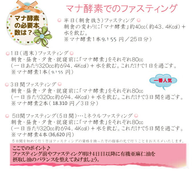 短期集中型。マナ酵素 ファスティング３日間セット【初心者でも安心】【送料無料】【あす楽】回復食付き