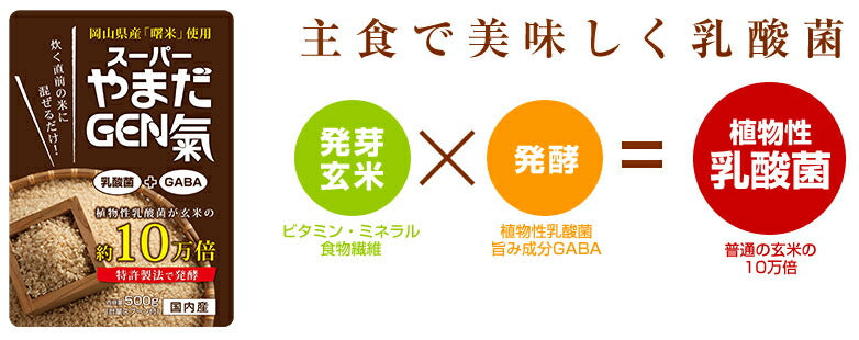 ニューサイエンス社 スーパーやまだGEN氣 （25g2個入）発酵の力 スーパーやまだ元気