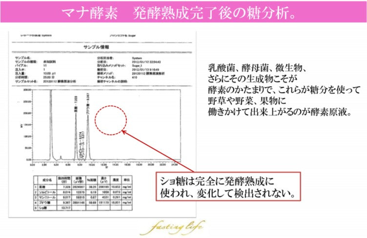 マナ酵素★ファスティング３日間セット【送料無料】