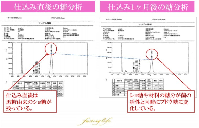 マナ酵素★ファスティング３日間セット【送料無料】