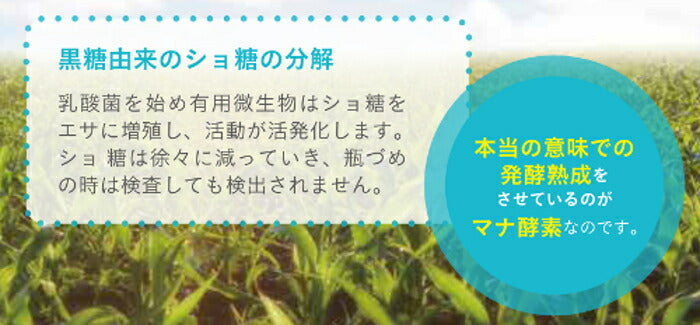 ５本セット【マナ酵素】【12月度 月間優良ショップ受賞】/100%原液/ファスティングドリンク植物性乳酸菌マナ酵素 MANA酵素 500mL