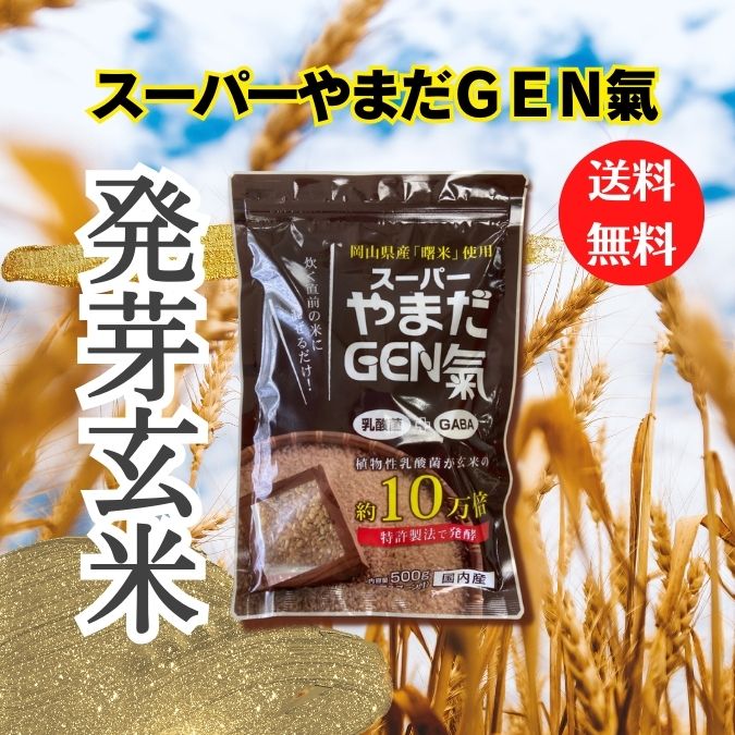 ニューサイエンス社 スーパーやまだGEN氣 （25g2個入）発酵の力 スーパーやまだ元気