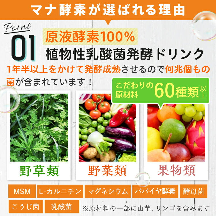 マナ酵素２本セット【３日間ファスティング】植物性乳酸菌マナ酵素 MANA酵素 500mL